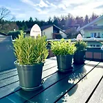 Апартаменты Schwarzwaldliebe Mit Eigenem Garten Гаггенау
