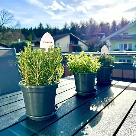 아파트 Schwarzwaldliebe Mit Eigenem Garten 가게나우