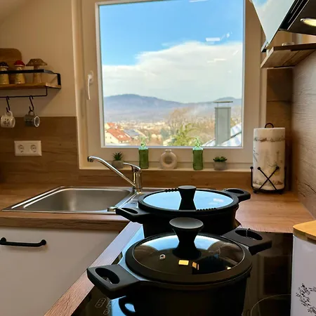 Schwarzwaldliebe Mit Eigenem Garten Apartment Gaggenau