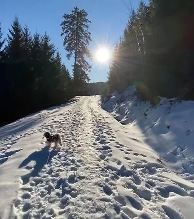 Schwarzwaldliebe Mit Eigenem Garten