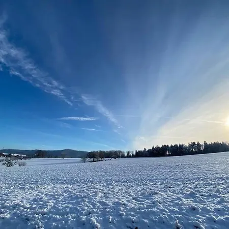 Schwarzwaldliebe Mit Eigenem Garten