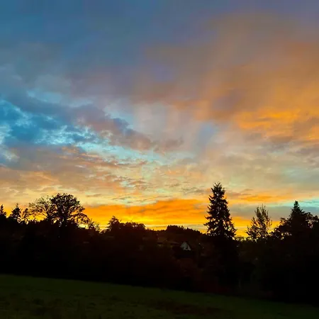 Apartment Schwarzwaldliebe Mit Eigenem Garten *