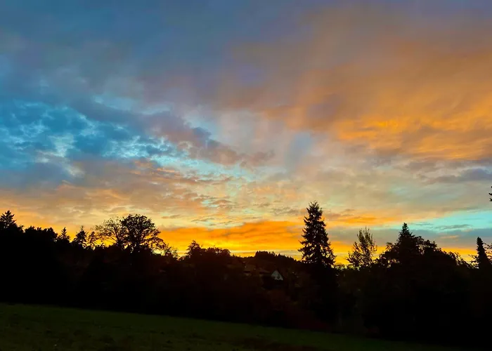 Lägenhet Schwarzwaldliebe Mit Eigenem Garten *